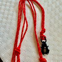 Guinzaglio rosso e giallo