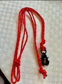 Guinzaglio rosso e giallo