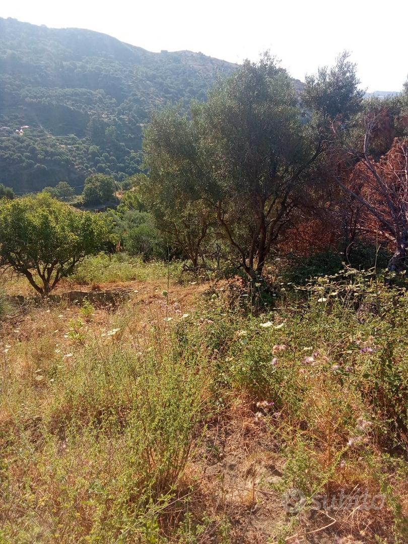Terreno agricolo - Vista 3