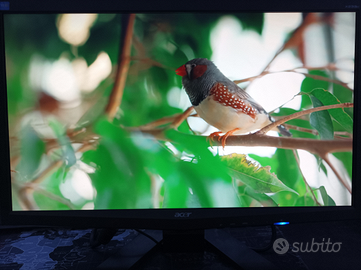 Monitor 23 pollici full HD 1920x1080 vga