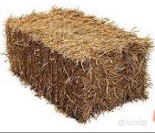 Balle ballette presse di fieno