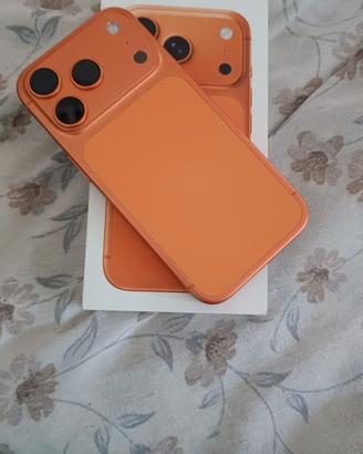 17 pro
