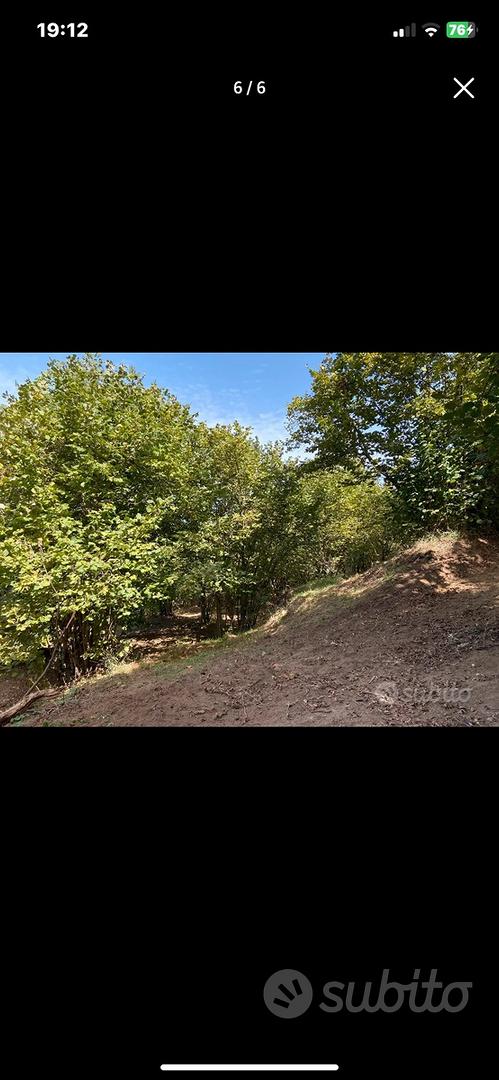 Terreno noccioleto - Vista 5