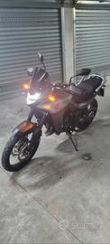 Honda XL 750 Transalp - 2024