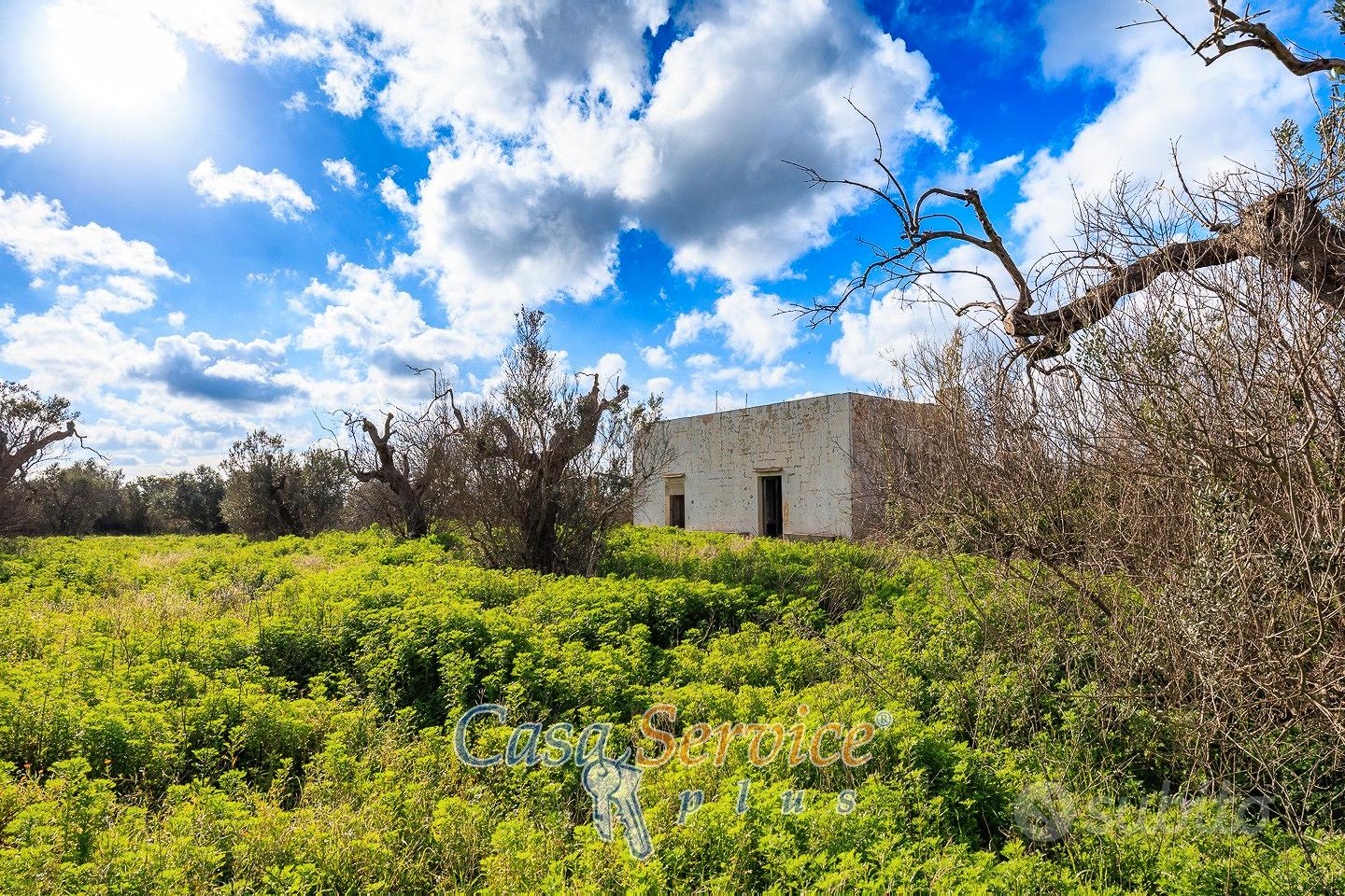 Terreno Edificabile di ha 2,4 con Rudere ad Alezio - Vista 4