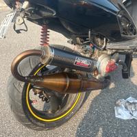 marmitta shot v4 minarelli orizzontale