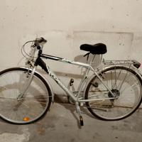 bici da passeggio