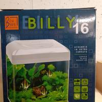 Acquario Billy 16