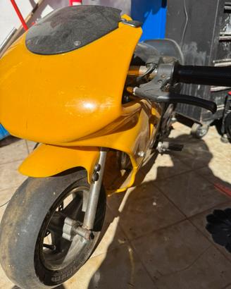 2 Minimoto