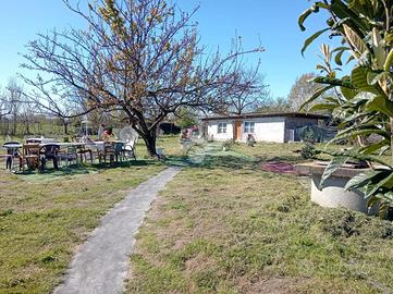 RUSTICO A VIGONE