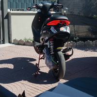 Zip sp mk2 pronto pista