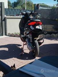 Zip sp mk2 pronto pista