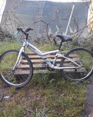 Bici ragazzi 24 / 10-12 anni