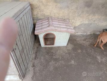 Cuccia per cane