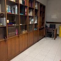 Libreria in Legno con vetrinette