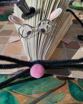 LIBRO ARREDO TRASFORMATO IN TOPO !