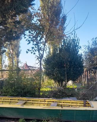 Barca in legno 6,20 m - ideale per pesca, caccia