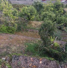 Terreno di 6900 m² a Acireale