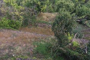 Terreno di 6900 m² a Acireale