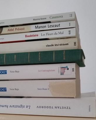 Lotto 10 Libri in Lingua Francese
