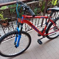 Bicicletta Esperia Michigan 26''