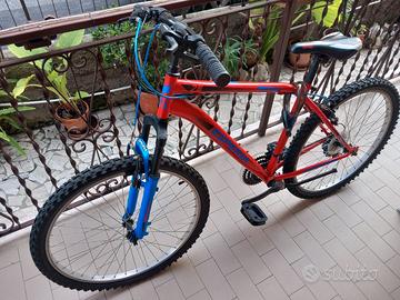 Bicicletta Esperia Michigan 26''