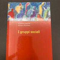 I gruppi sociali. Speltini S. Palmonari A.