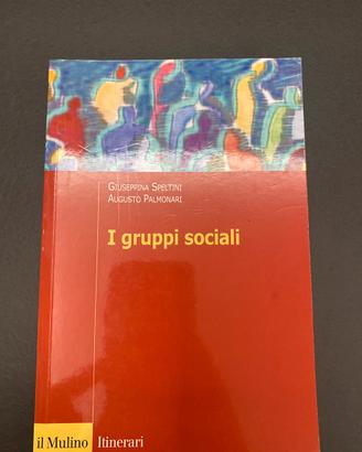 I gruppi sociali. Speltini S. Palmonari A.