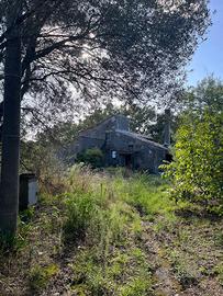 Villa da ristrutturare