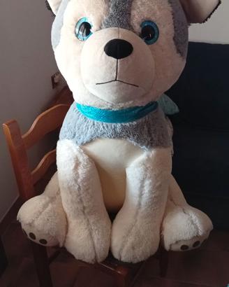 Peluches cane gigante