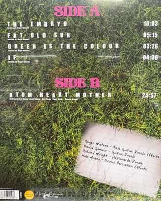 Vinile Pink Floyd 33 giri