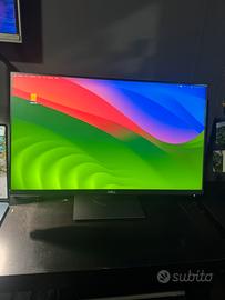 Monitor dell p2319h
