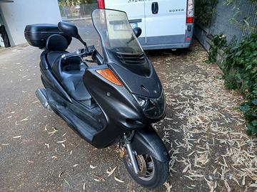 majesty 250