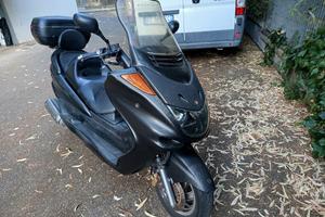 majesty 250