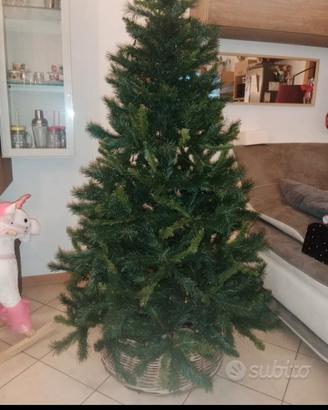 Albero di natale 