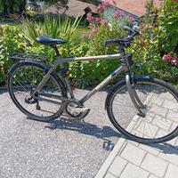 Bianchi Spillo Rubino 