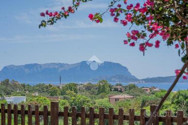 3 LOCALI A OLBIA