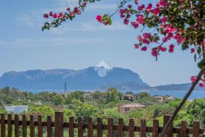 3 LOCALI A OLBIA