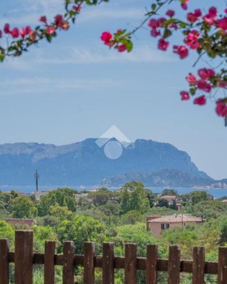 3 LOCALI A OLBIA