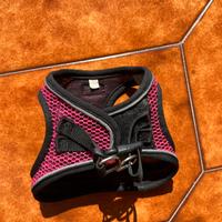 Pettorina per cani taglia S - comoda e traspirante