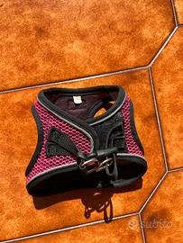 Pettorina per cani taglia S - comoda e traspirante