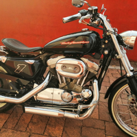 Harley Davidson Sportster 883 XL C