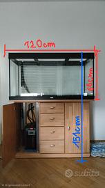 Acquario Juwel 350l