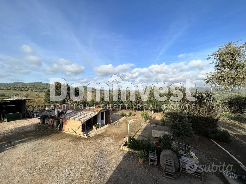 Rustico / Casale di 174 m² con 4 locali a Capalbio - Vista 4