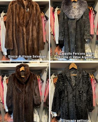 4 Pellicce