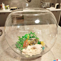 Boccia in vetro per pesci rossi completa di tutto