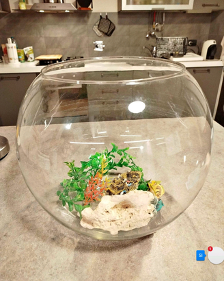 Boccia in vetro per pesci rossi completa di tutto