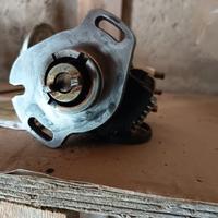 spinterogeno 