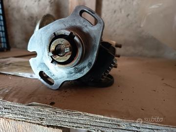 spinterogeno 