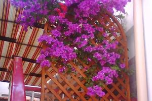 2 appartamentini attigui per vacanze